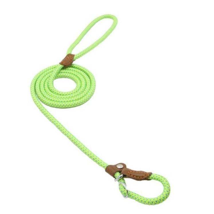 Adjustable Dog Collar & Lead