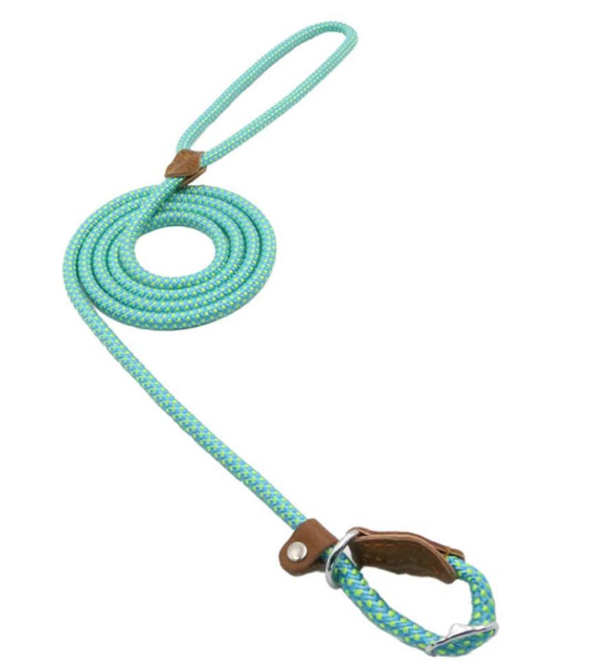 Adjustable Dog Collar & Lead