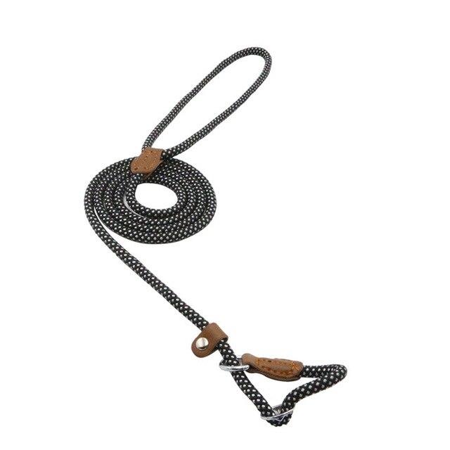 Adjustable Dog Collar & Lead