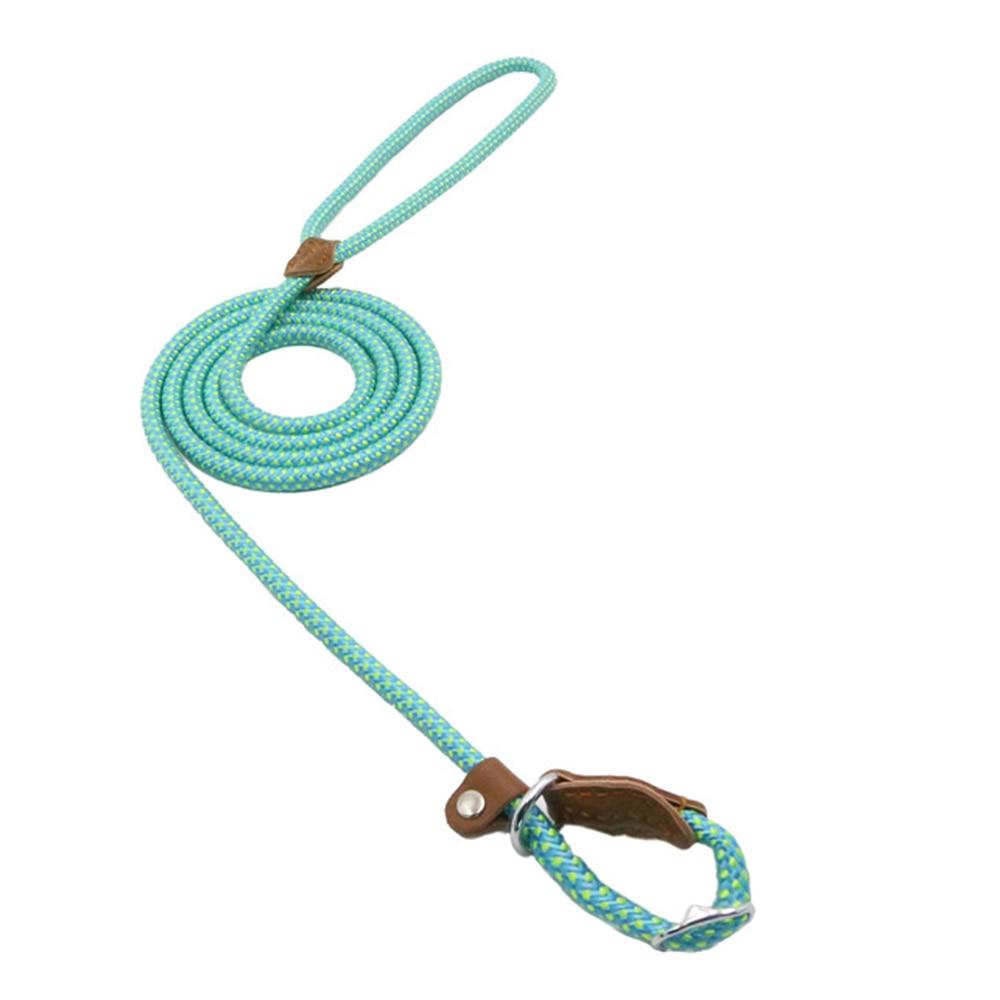 Adjustable Dog Collar & Lead