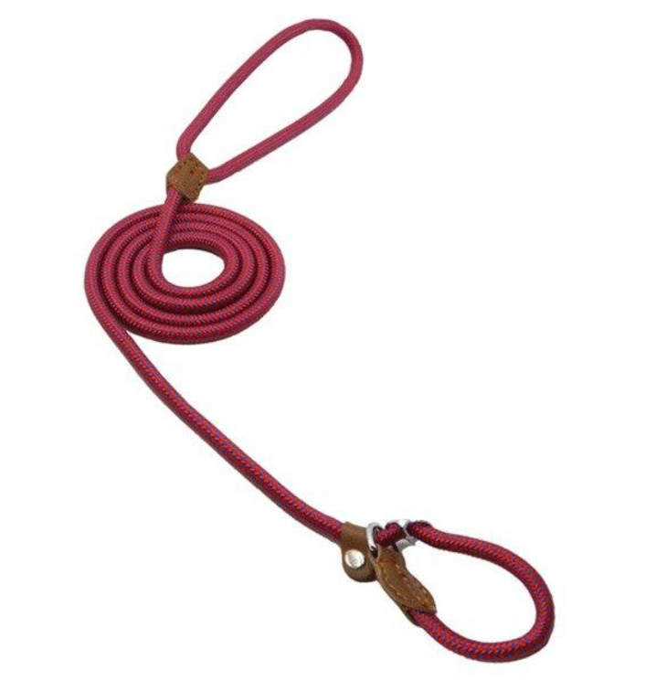 Adjustable Dog Collar & Lead