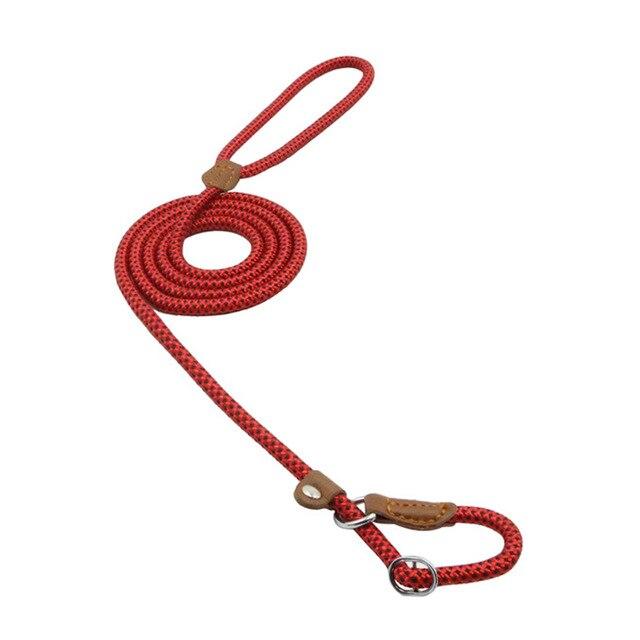 Adjustable Dog Collar & Lead