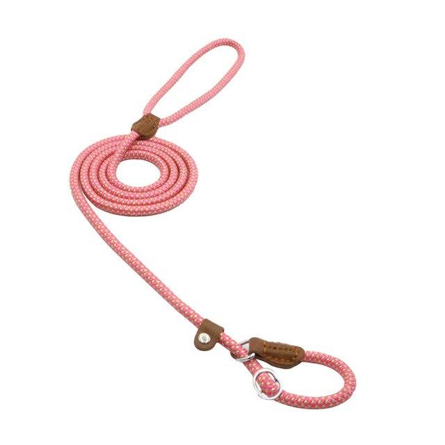 Adjustable Dog Collar & Lead