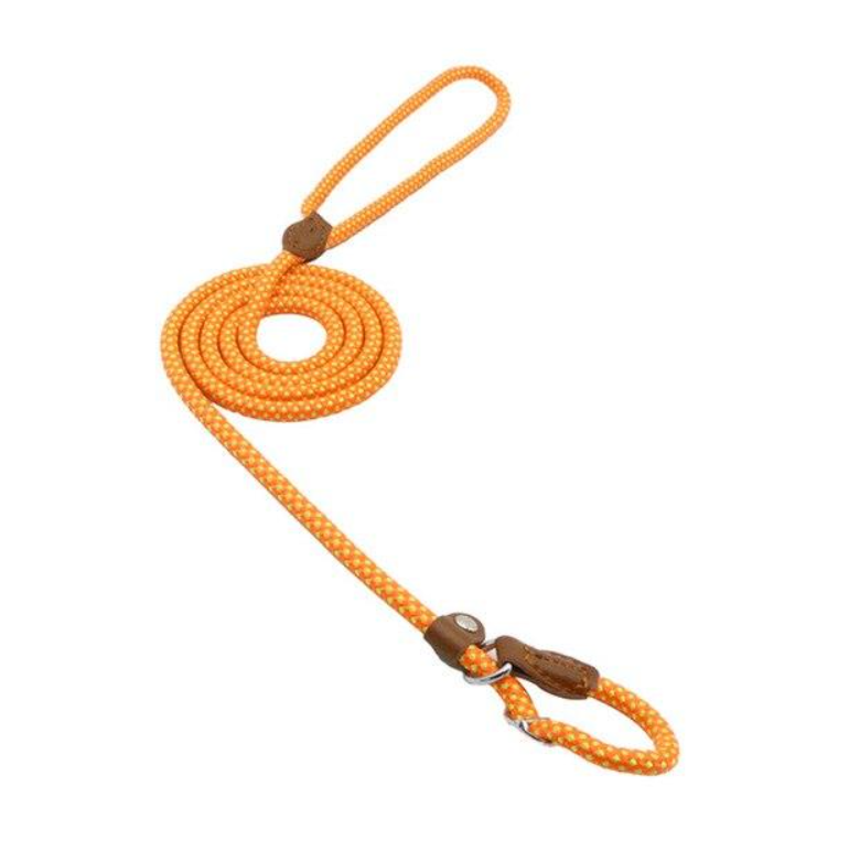 Adjustable Dog Collar & Lead