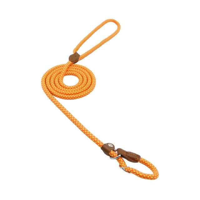 Adjustable Dog Collar & Lead