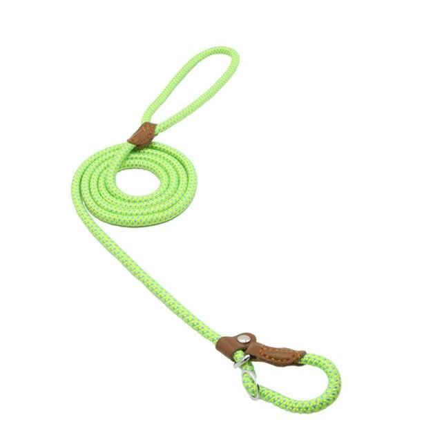 Adjustable Dog Collar & Lead