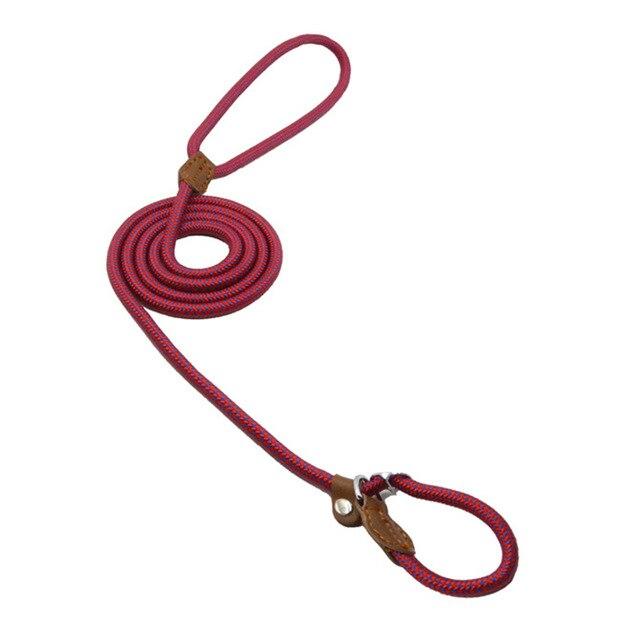 Adjustable Dog Collar & Lead